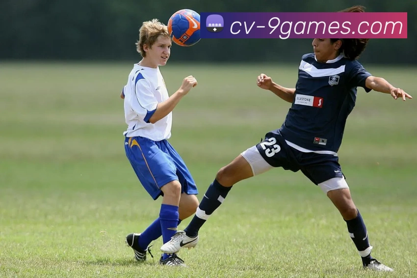 九游会官网APP 封面图